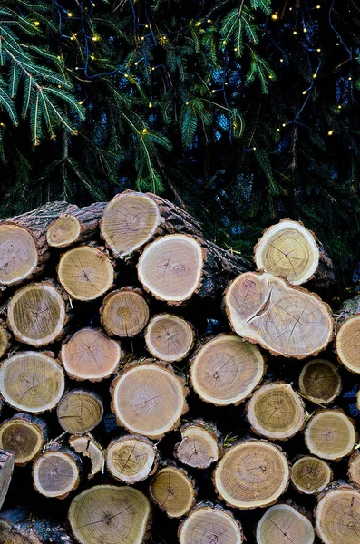 yakacak odun ve Ladin dalları yığını