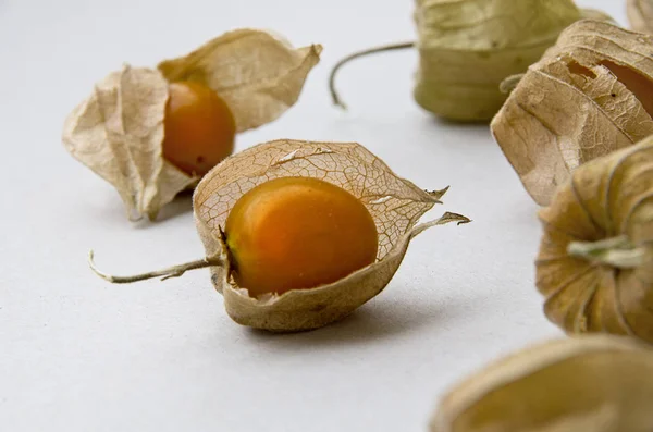 Beyaz arkaplanda physalis