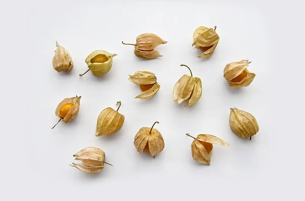 Beyaz arkaplanda physalis