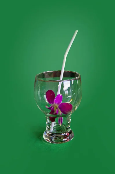 yeşil bir arka plan üzerinde bir çiçek ile kokteyl cam