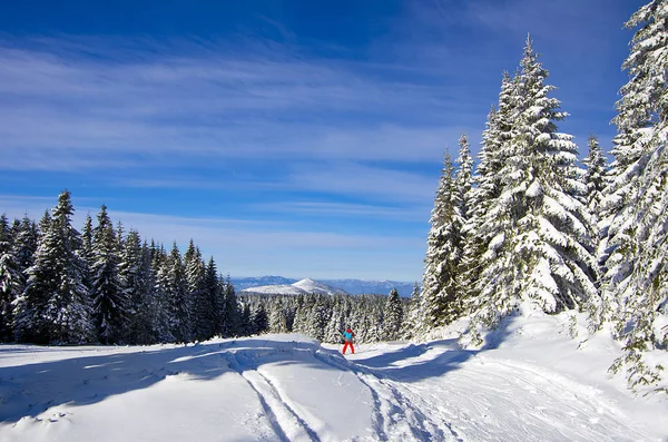 güneşli bir günde, dağ Kayak Merkezi Kopaonik, Sırbistan kış ormanda izlemek