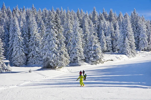 Pista en el bosque de invierno en un día soleado, estación de esquí de montaña Kopaonik, Serbia — Foto de Stock