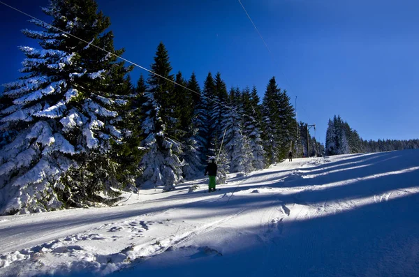 Spåra i vinter skog på en solig dag, Mountain skidorten Kopaonik, Serbien — Stockfoto