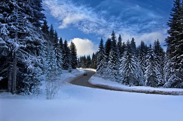 Camino en el bosque de invierno, Serbia — Foto de Stock