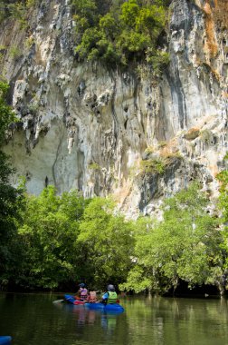 Tayland mangrov orman su kayağı