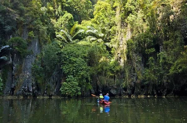 Tayland mangrov ormandaki nehir kanosu