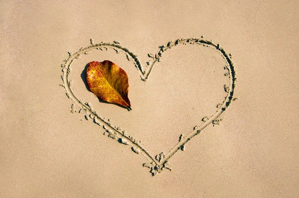 kuma çizilmiş kalp. Tatil kartı aşk