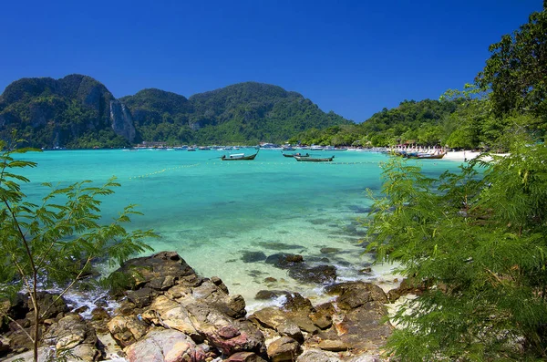 temiz deniz ve plaj egzotik adada, Tayland