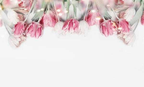 Прекрасный Пастельный Цвет Тюльпанов Границы Белом Фоне Боке Весенние Цветы — стоковое фото