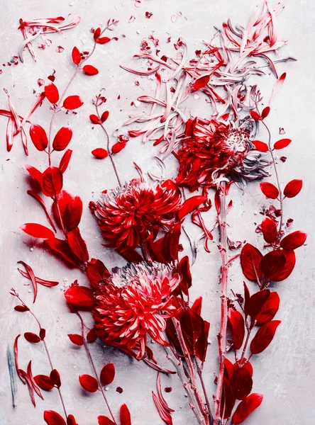 明るい灰色の背景 トップビュー フラットレイアウト上の花の多くの種類の赤い花や葉の組成物 — ストック写真