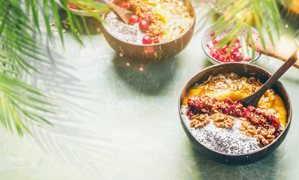 Smoothie Mango Kom Met Chia Zaden Yoghurt Pudding Cranberries Noten — Stockfoto