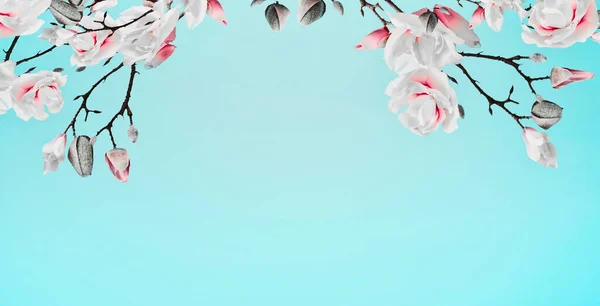Досить Весняна Магнолія Розпускає Гілки Рамки Бірюзовому Фоні Квітковий Бордюр — стокове фото