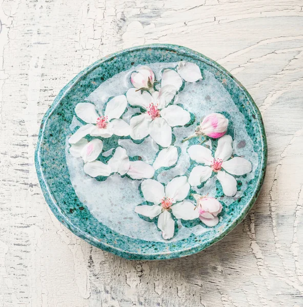 Blue Water Bowl Lovely Spring Blossom Light Shabby Chic Background — Stock Photo, Image