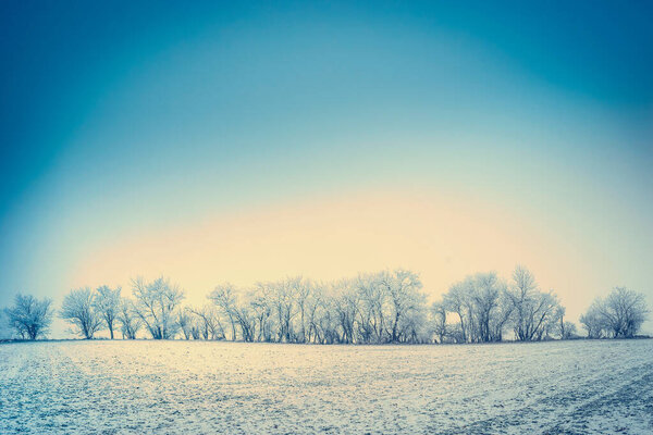 Winter nature landscape background with snow, field and trees covered with hoar frost and blue sky