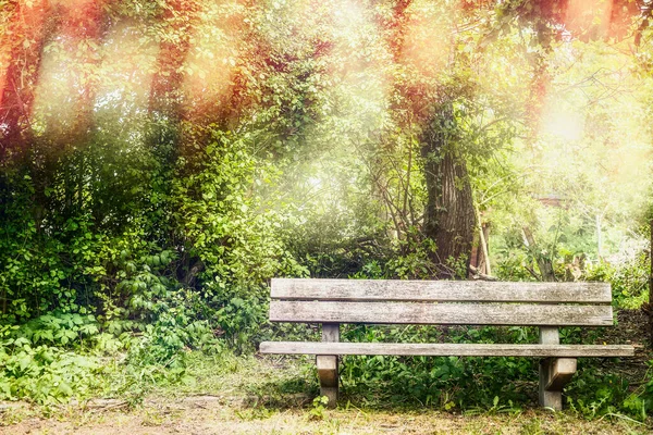 Park Wiosenny Lub Letni Drewnianą Ławką Światłem Słonecznym Zewnętrzne Tło — Zdjęcie stockowe