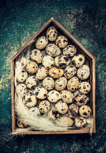 Перепелиные Яйца Перья Отделке Деревянного Дома Вид Сверху — стоковое фото