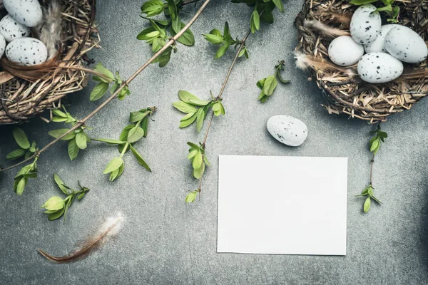 Ostereier Nest Mit Vogelfedern Und Leerer Weißer Papierkarte Ansicht Von — Stockfoto