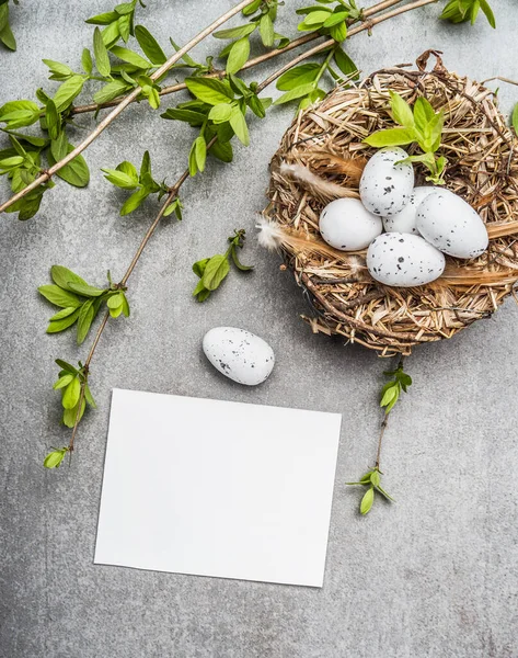 Huevos Pascua Nido Con Ramitas Primavera Tarjeta Papel Blanco Blanco —  Fotos de Stock