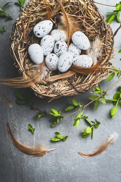Huevos Pascua Nido Con Ramitas Primavera Vista Superior —  Fotos de Stock