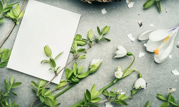 Frühlingsblumen Und Zweige Und Weiße Karte Für Reiben Ansicht Von — Stockfoto