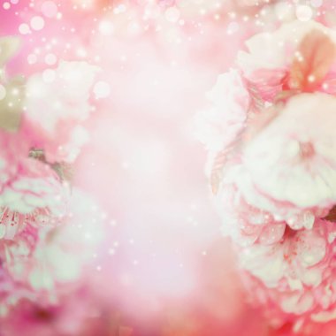 Bokeh ile bulanık pembe çiçek arkaplanı