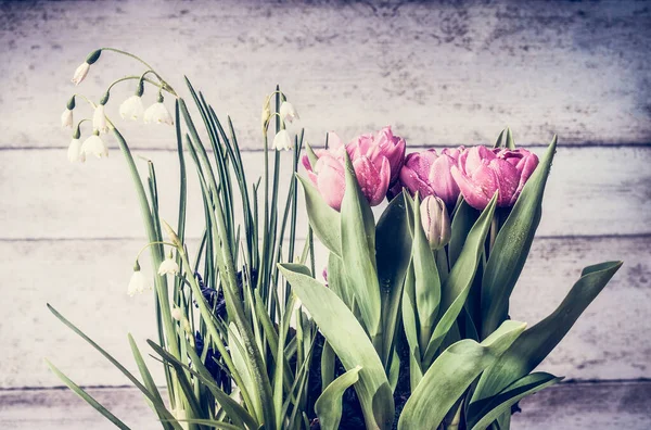 Pretty Springtime Flowers Snowdrops Tulips Light Wooden Background Front View — Stock Photo, Image