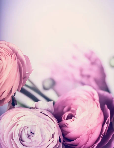 Bleka Rosa Blommor Pastell Bakgrund Närbild Blomstergräns Och Gratulationskort Koncept — Stockfoto