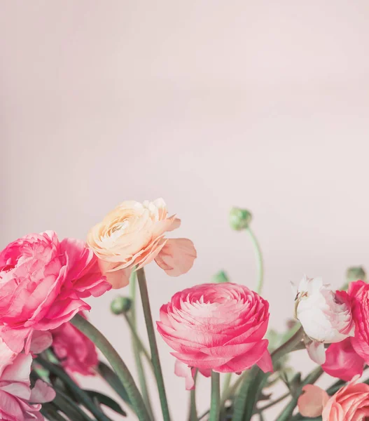 Ganska Pastell Färg Blommor Blommar Vid Ljus Bakgrund Blommig Gräns — Stockfoto