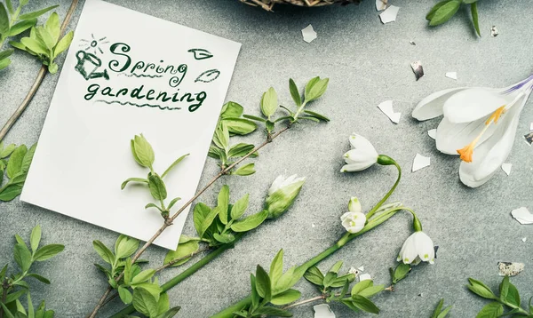 Frühlings Garten Schriftzug Mit Verschiedenen Frühlingspflanzen Maiglöckchen Krokusblüten Und Frühlingszweige — Stockfoto