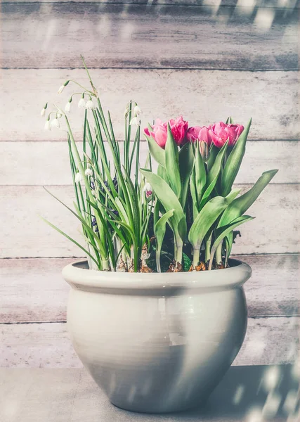 Mooie Bloemen Pot Met Bloei Van Tulpen Lily Valley Houten — Stockfoto
