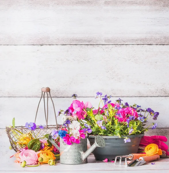 Herramientas Jardinería Con Flores Plantan Terraza Patio Pared Madera Blanca — Foto de Stock