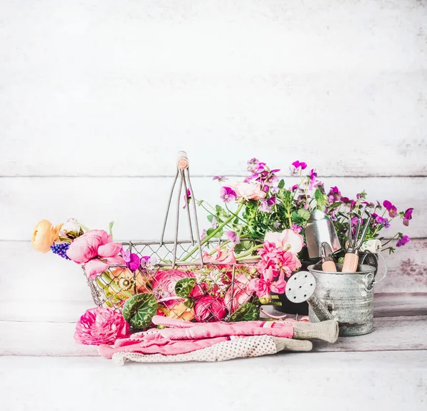 Summer Gardening Basket Flowers Garden Tools Watering Can White Wooden — Stock Photo, Image