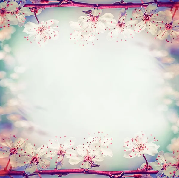Moldura Floral Primavera Com Cereja Bonita Flor Sakura Fundo Bokeh — Fotografia de Stock