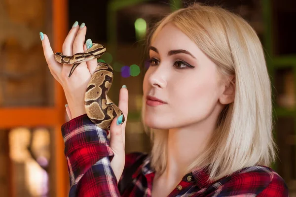 Une Belle Femme Blonde Tient Petit Python Royal Dans Ses — Photo