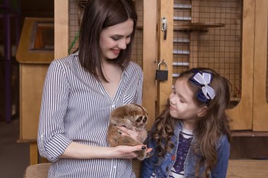 Bir hayvanat bahçesindeki aile anne ve kızı Lemur Slow Loris 'i izliyorlar..