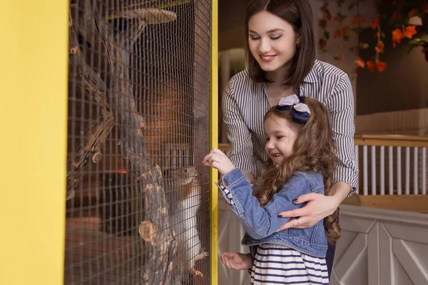 Mom and daughter in the contact zoo feed the red squirrel in the cage. A happy family. Life style.