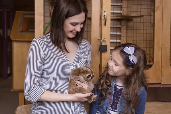 Family mom and daughter in a contact zoo are holding Lemur Slow Loris Stare.