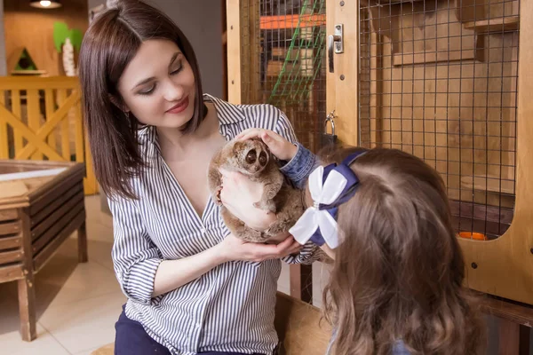 Família Mãe Filha Zoológico Contato Estão Segurando Lemur Slow Loris — Fotografia de Stock