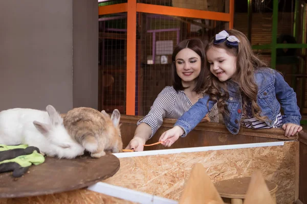 Máma Dcera Kontaktní Zoo Krmení Králíky Rodina Farmě — Stock fotografie