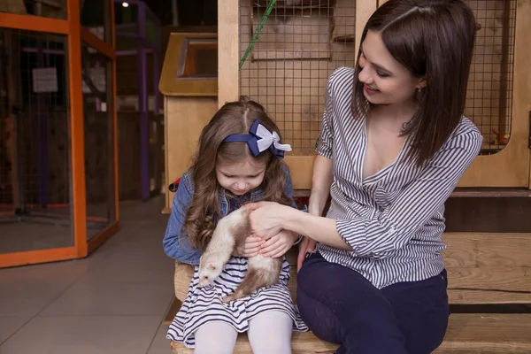 Family in the contact zoo, the mother and daughter are holding a carnivorous white ferret and stroking, a kind animal.