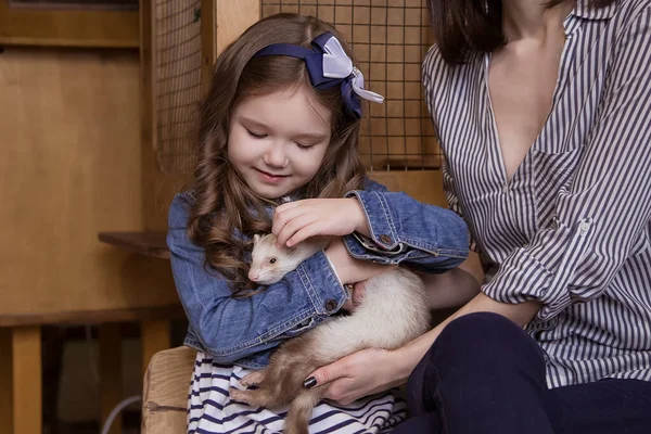 Família Zoológico Contato Mãe Filha Estão Segurando Furão Branco Carnívoro — Fotografia de Stock