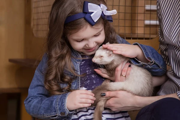 Famille Dans Zoo Contact Mère Fille Tiennent Furet Blanc Carnivore — Photo