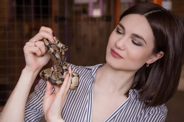 Beautiful Brunette Woman Holding Snake Her Hands Small Royal Python — Stock Photo, Image