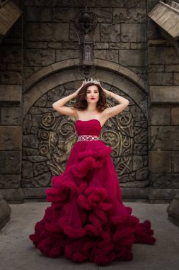 Güzel bir kadın, kırmızı lüks elbiseli bir kraliçe, orta çağ arkaplanında duruyor, kemerli bir Gotik amblem ve kristalli gümüş bir karton tutuyor. Kaledeki Prenses.