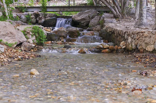 Küçük şelaleleri olan bir parkta akarsu