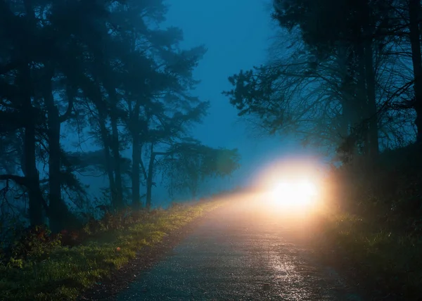Faróis de carro misteriosos brilhando em uma estrada de floresta temperamental. Em um — Fotografia de Stock