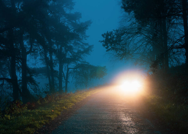 Mysterious car headlights glowing on a moody forest road. On an 