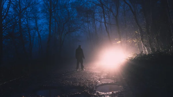 Sisli Bir Kış Akşamında Orman Yolunda Sihirli Bir Işığa Karşı — Stok fotoğraf