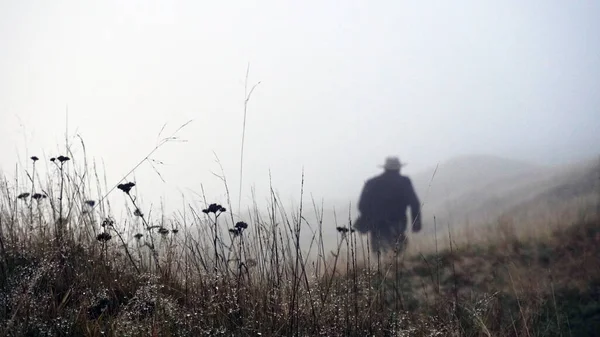 Tajemnicza postać nosząca długi płaszcz i kapelusz Fedory, uciekająca przed kamerą, nieostra z płytką głębią ostrości w tle. Z bliska roślin na wzgórzu, dzień zimy — Zdjęcie stockowe