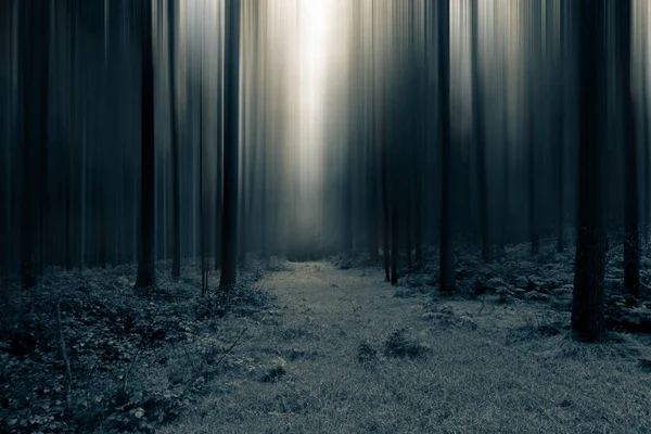 Um caminho sombrio e assustador através da floresta. Com uma edição embaçada, artística e abstrata . — Fotografia de Stock
